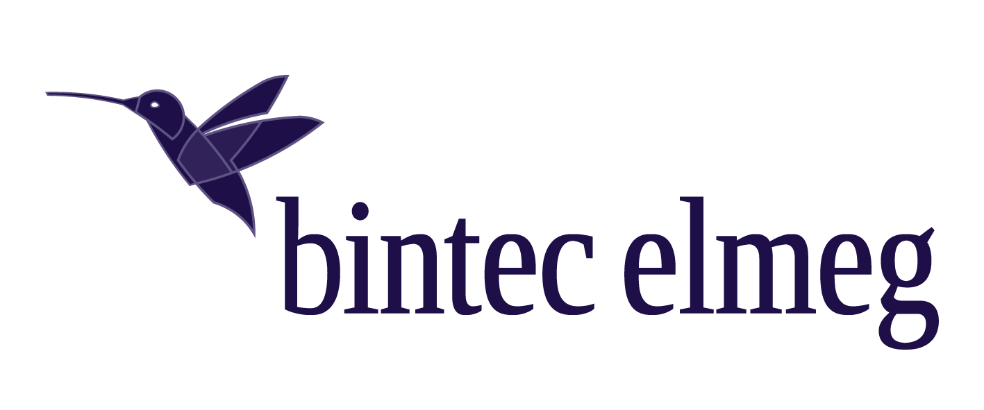 bintec elmeg